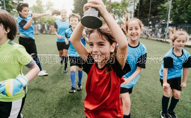 人人体育官方网站滴滴出行《哪位足球运动员曾被称为“老树开花”？》