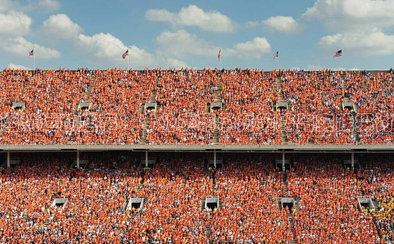 西城运动盛事：专业赛事承办策略与实践探讨