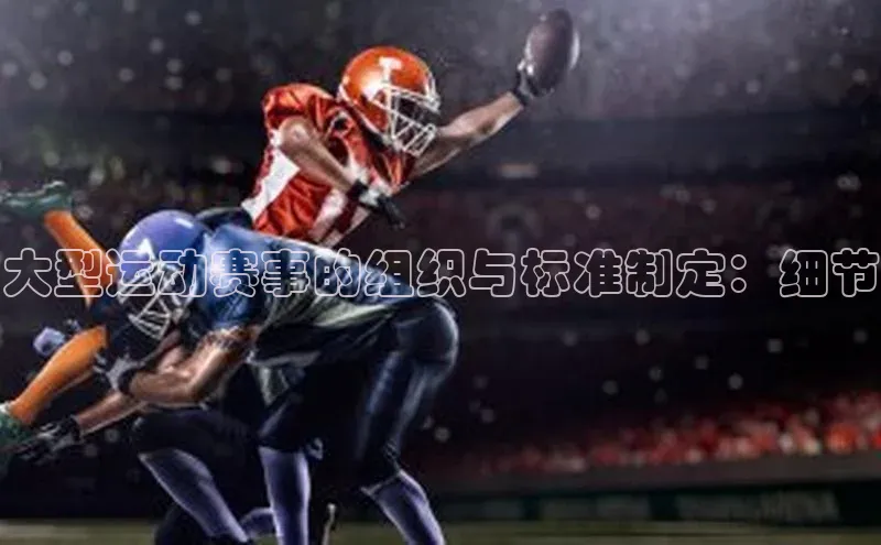 大型运动赛事的组织与标准制定：细节