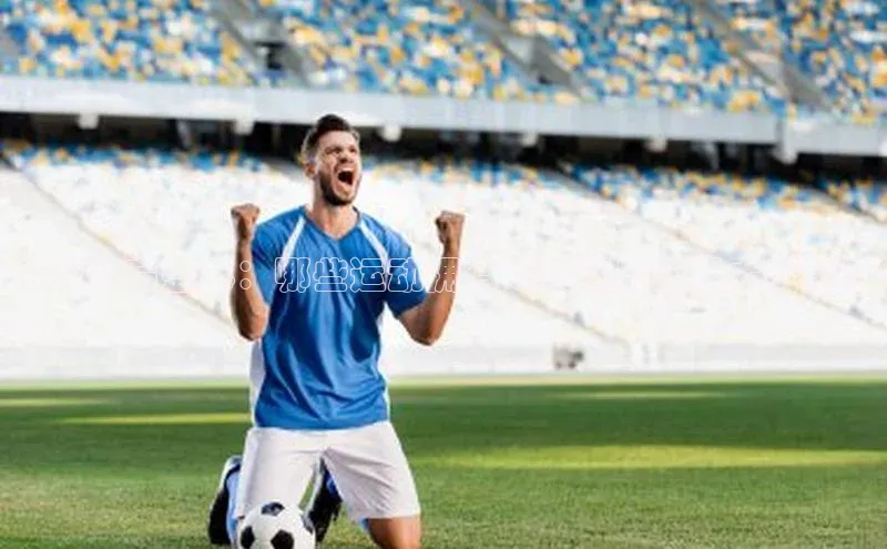 全球体育盛事：哪些运动拥有令人瞩目的重大赛事？