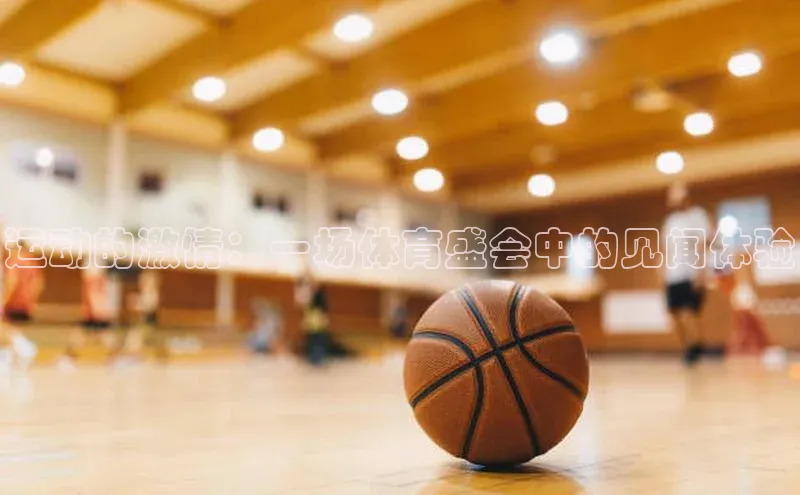 运动的激情：一场体育盛会中的见闻体验