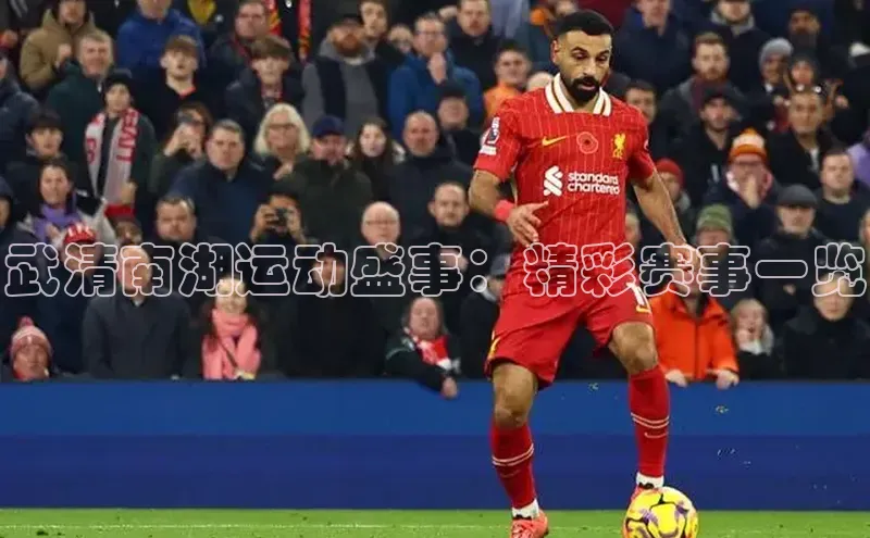 武清南湖运动盛事：精彩赛事一览