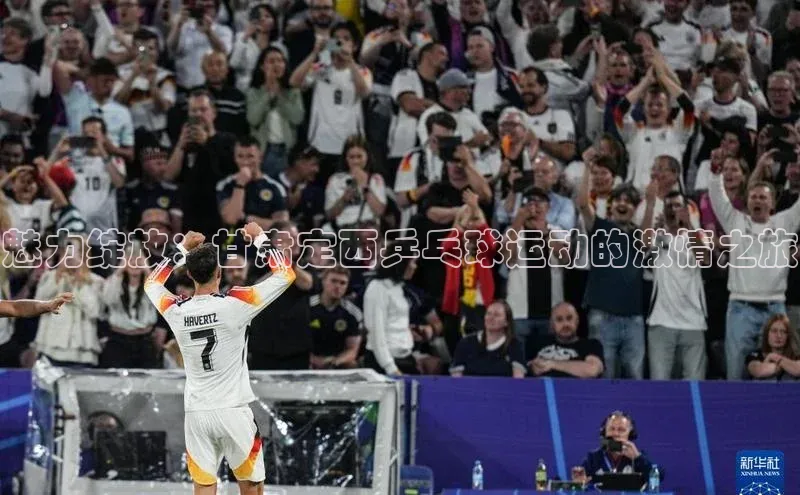 魅力绽放：甘肃定西乒乓球运动的激情之旅