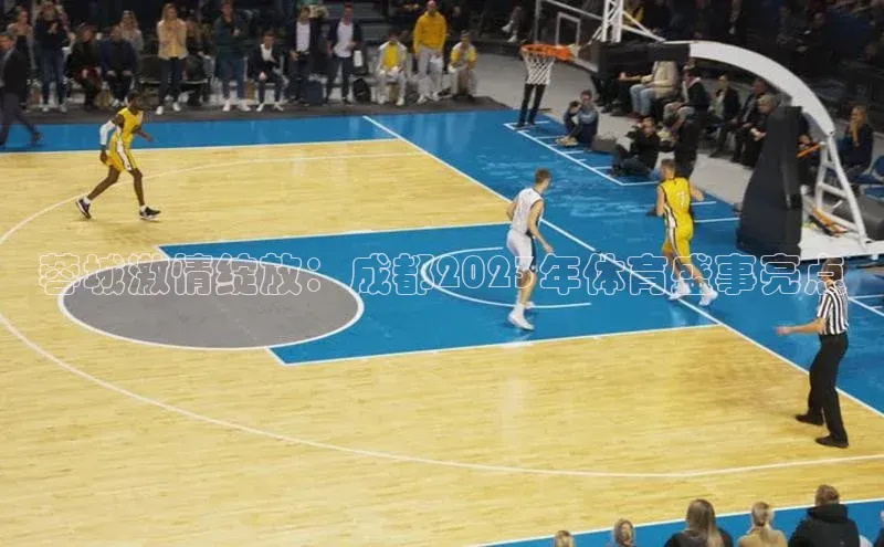 蓉城激情绽放：成都2023年体育盛事亮点