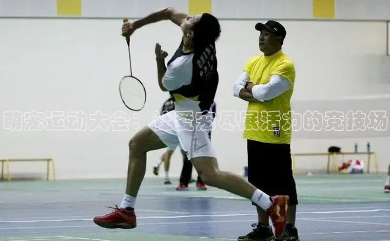 萌宠运动大会：让爱宠尽展活力的竞技场