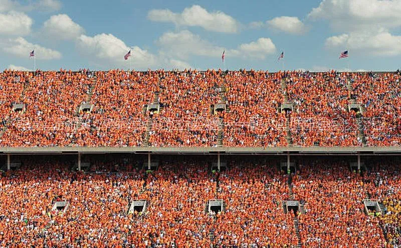 美人鱼荣耀：2023年全球运动盛宴——美人鱼运动会盛大开幕