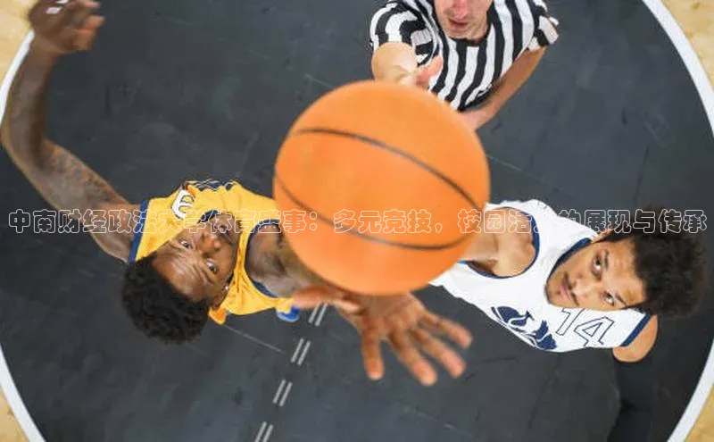 中南财经政法大学体育盛事：多元竞技，校园活力的展现与传承