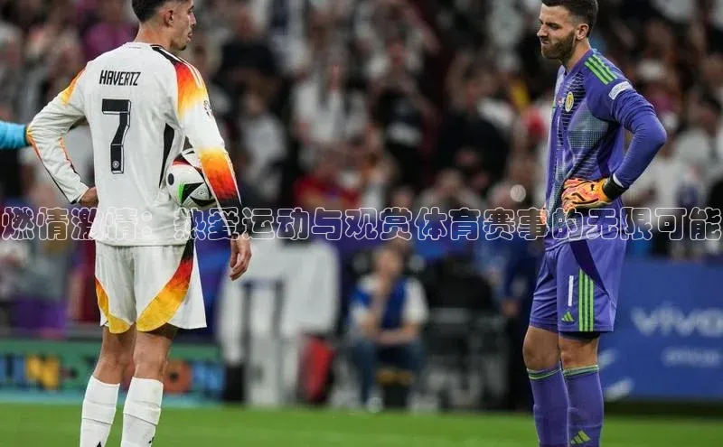 燃情激情：热爱运动与观赏体育赛事的无限可能