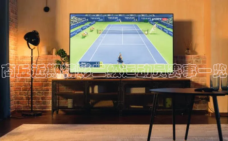 商丘近期精彩二级运动员赛事一览