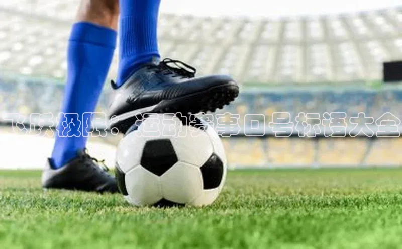 飞跃极限：运动赛事口号标语大全