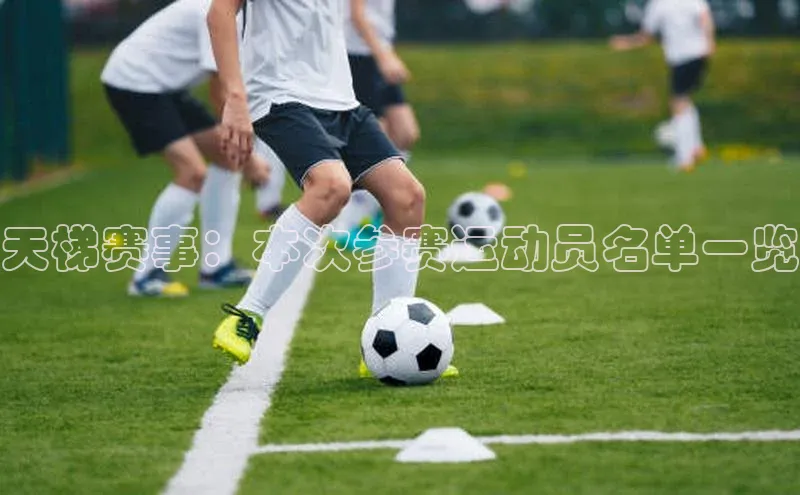 天梯赛事：本次参赛运动员名单一览