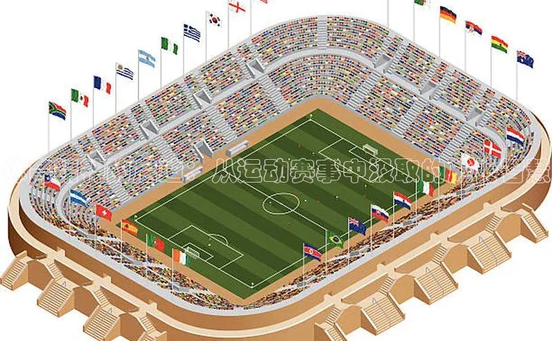 体育精神的启迪：从运动赛事中汲取的成长智慧